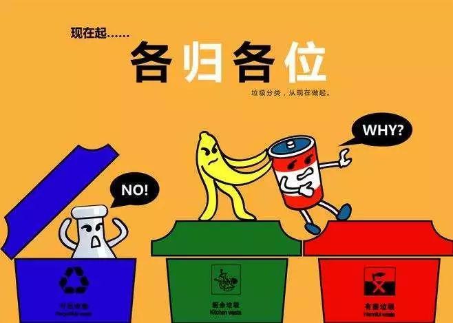 沈阳市生活垃圾分类管理办法
